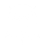 Kabosu reading the BOK